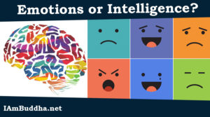 Emotions or Intelligence?