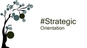 Strategic Orientation in life