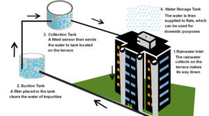 Collect rain water